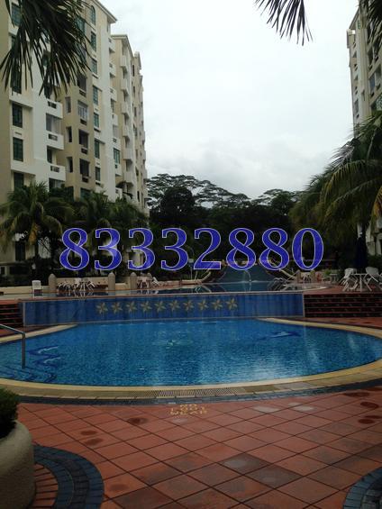 Hillview Heights (D23), Condominium #104207542